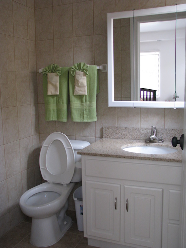 Bathroom in the Manor by the Sea 3 bed/3 bath Condo for Sale in Frigate Bay St. Kitts