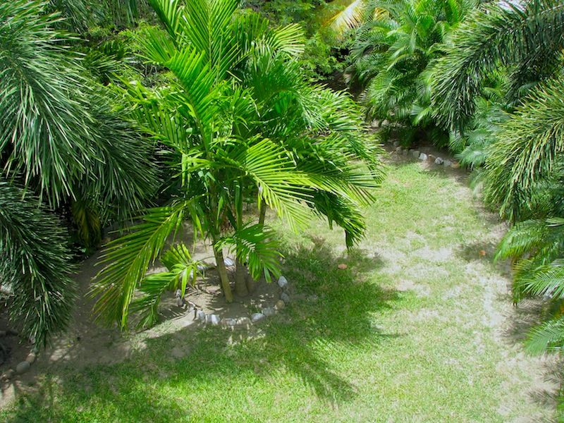 VIew of the garden from the top floor of the Calypso Paradise Villa
